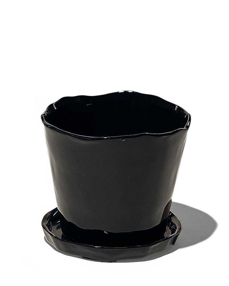 Tika Ceramic Pot & Saucer Set With Drainage - Chive UK