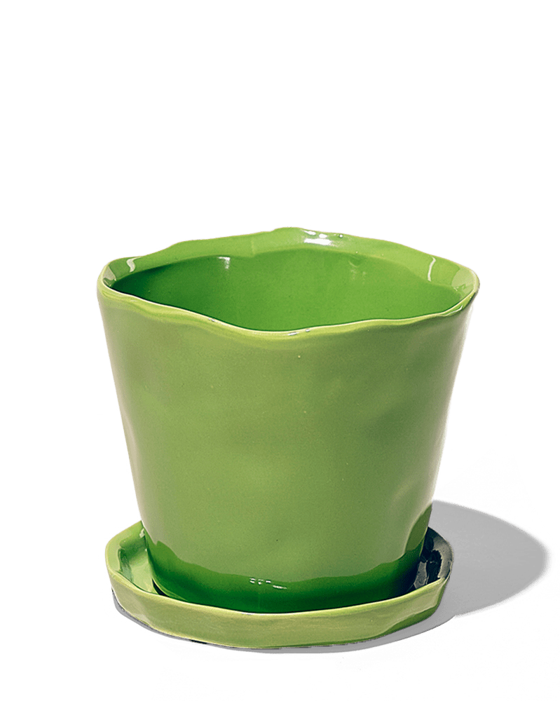 Tika Ceramic Pot & Saucer Set With Drainage - Chive UK