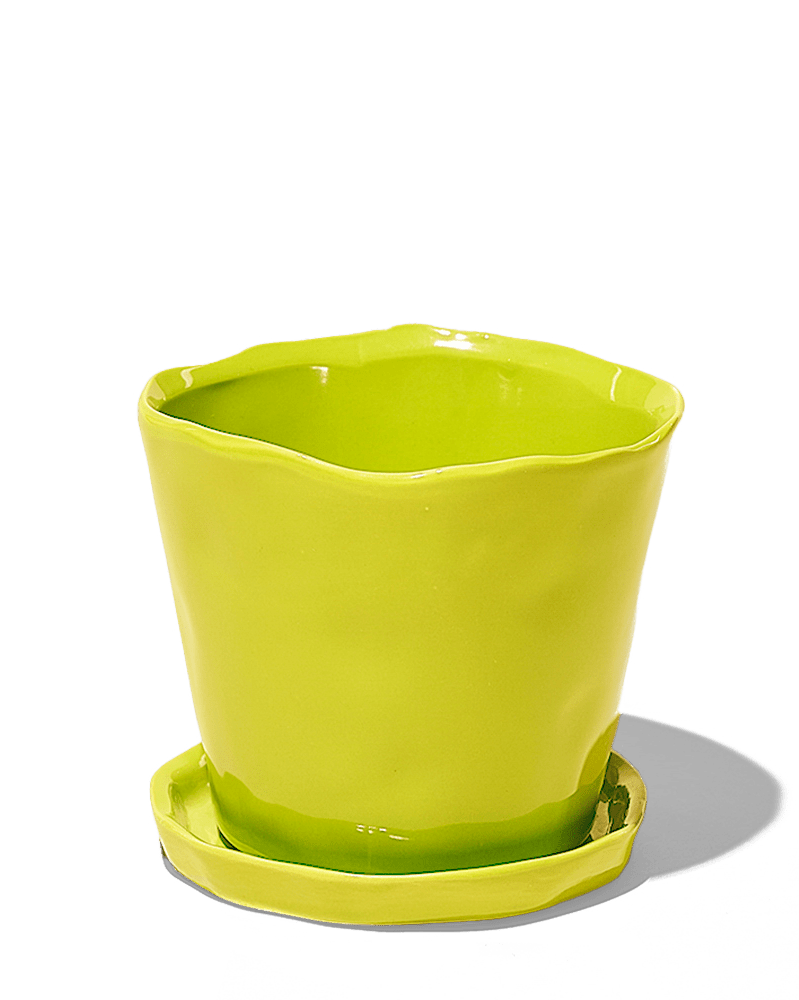 Tika Ceramic Pot & Saucer Set With Drainage - Chive UK