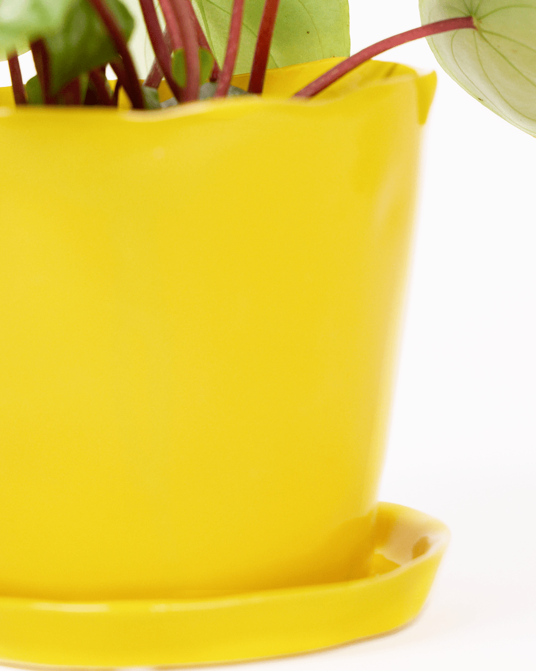 Tika Ceramic Pot & Saucer Set With Drainage - Chive UK