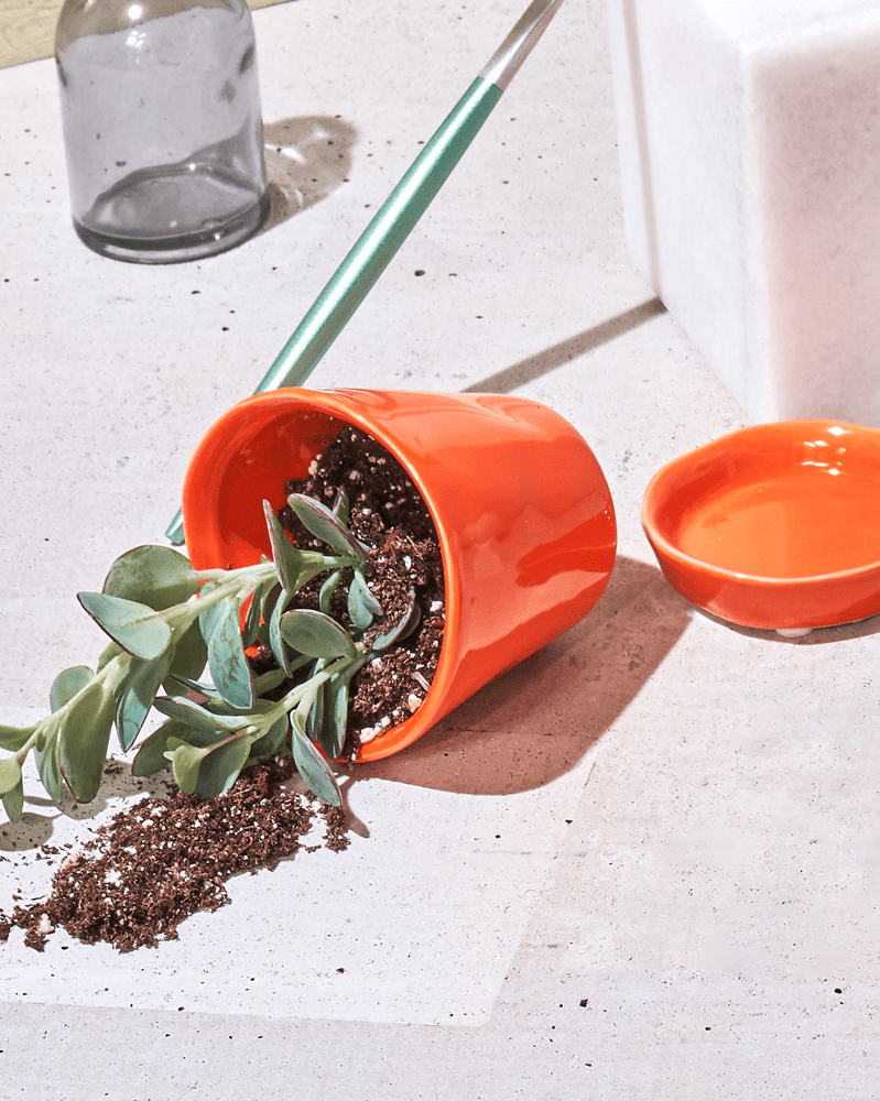 Tika Ceramic Pot & Saucer Set With Drainage - Chive UK