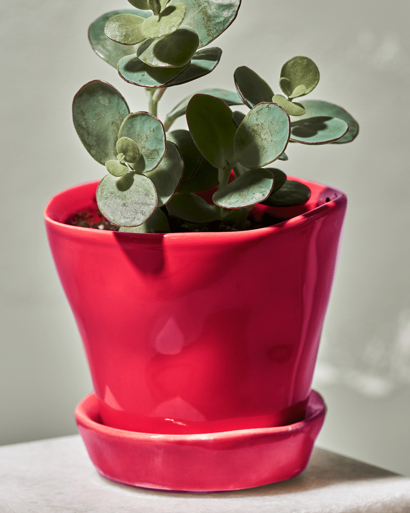 Tika Ceramic Pot & Saucer Set With Drainage - Chive UK