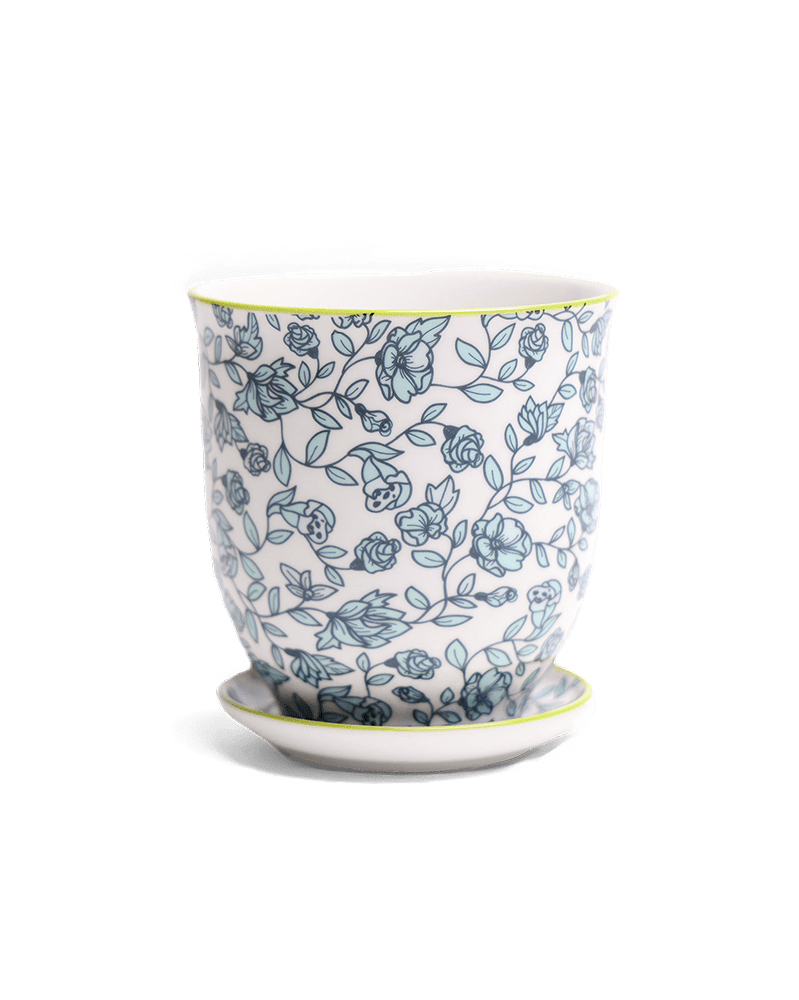 Liberte Porcelain Pot And Saucer Set With Drainage - Chive UK