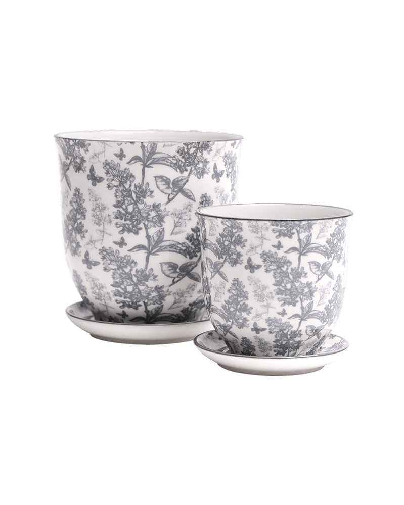 Liberte Porcelain Pot And Saucer Set With Drainage - Chive UK