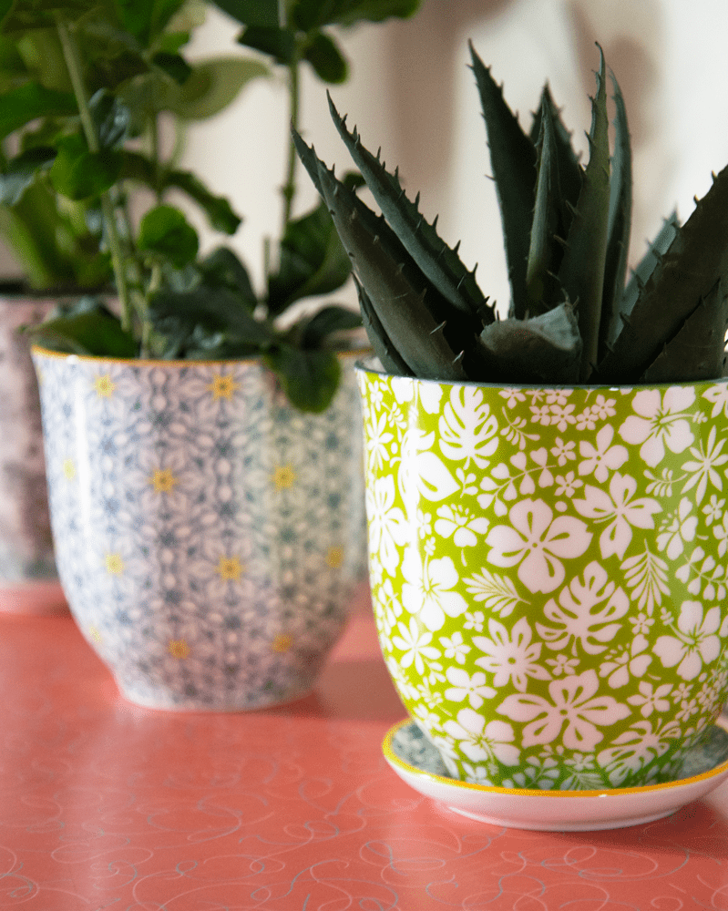 Liberte Porcelain Pot And Saucer Set With Drainage - Chive UK