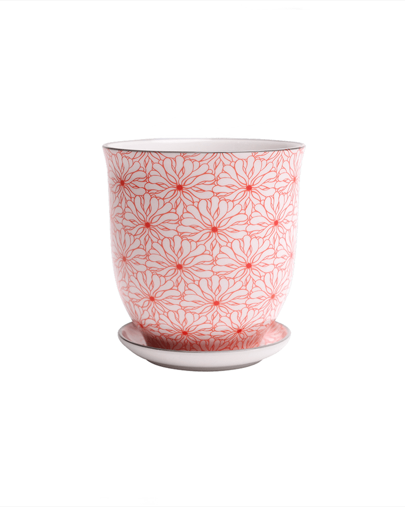 Liberte Porcelain Pot And Saucer Set With Drainage - Chive UK
