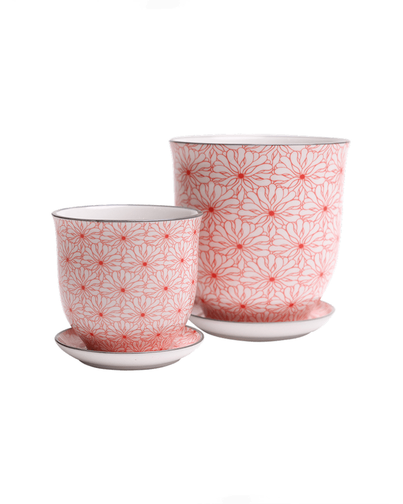 Liberte Porcelain Pot And Saucer Set With Drainage - Chive UK