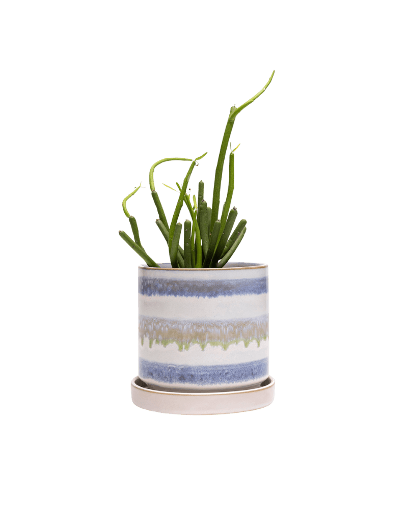 Minute Ceramic Pot And Saucer Set With Drainage - Chive UK