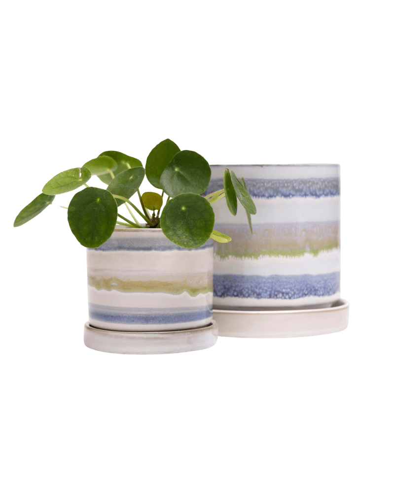Minute Ceramic Pot And Saucer Set With Drainage - Chive UK