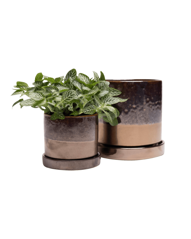 Minute Ceramic Pot And Saucer Set With Drainage - Chive UK