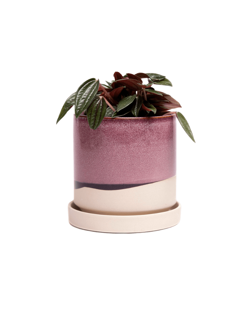 Minute Ceramic Pot And Saucer Set With Drainage - Chive UK