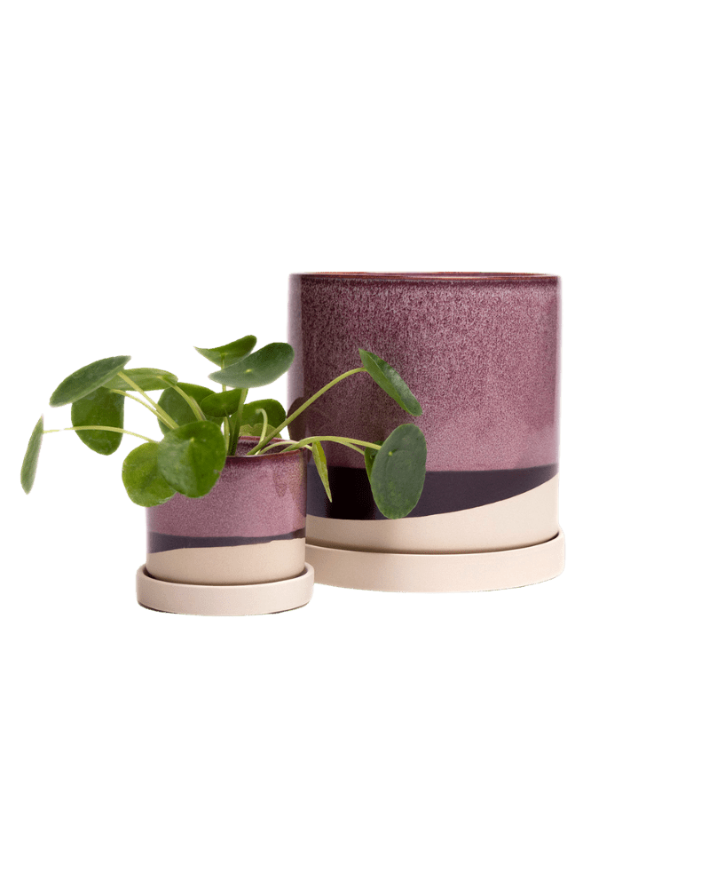 Minute Ceramic Pot And Saucer Set With Drainage - Chive UK