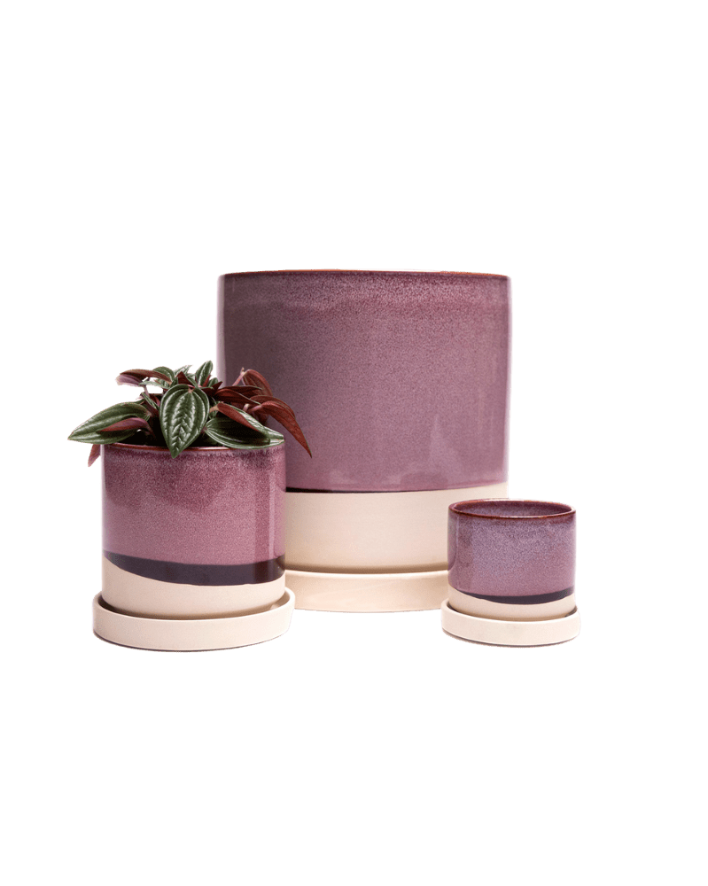 Minute Ceramic Pot And Saucer Set With Drainage - Chive UK