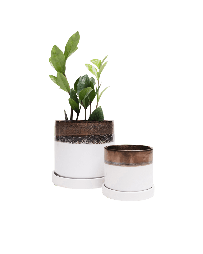Minute Ceramic Pot And Saucer Set With Drainage - Chive UK