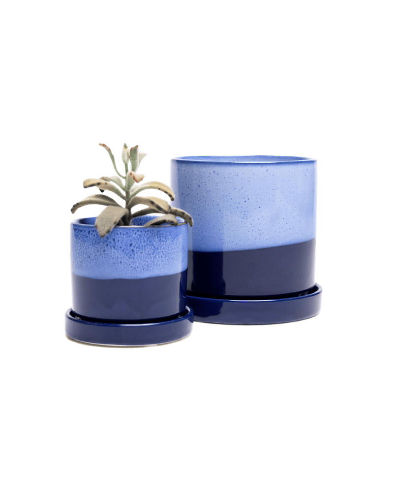 Minute Ceramic Pot And Saucer Set With Drainage - Chive UK