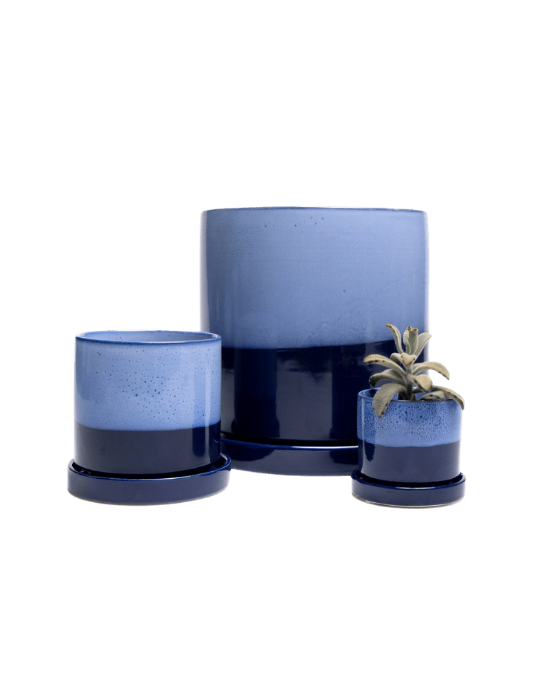 Minute Ceramic Pot And Saucer Set With Drainage - Chive UK