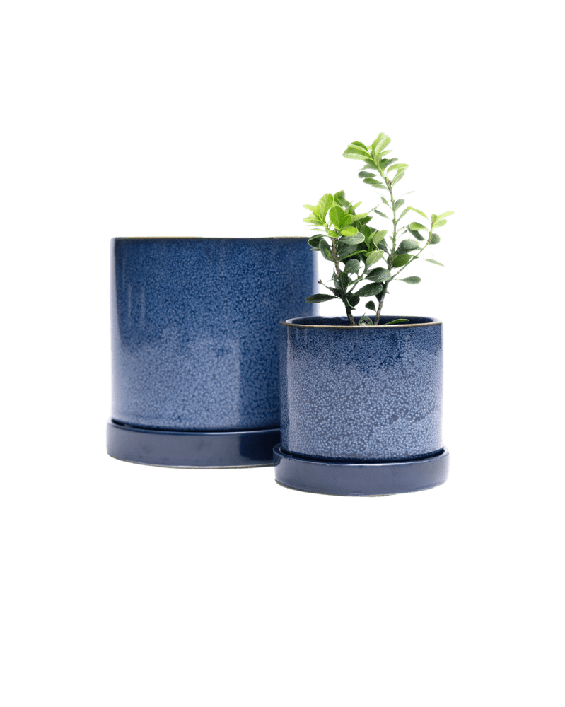 Minute Ceramic Pot And Saucer Set With Drainage - Chive UK