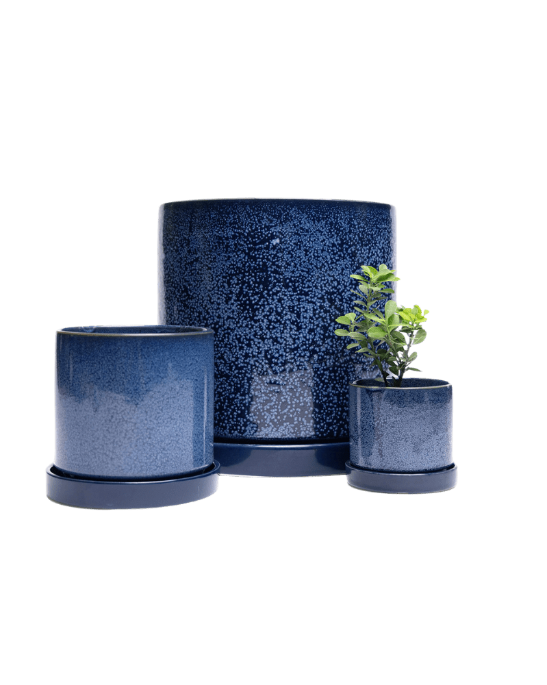 Minute Ceramic Pot And Saucer Set With Drainage - Chive UK