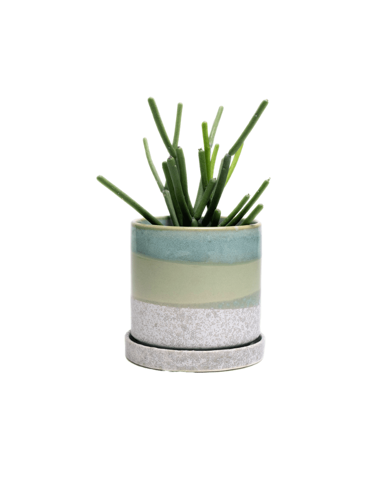 Minute Ceramic Pot And Saucer Set With Drainage - Chive UK