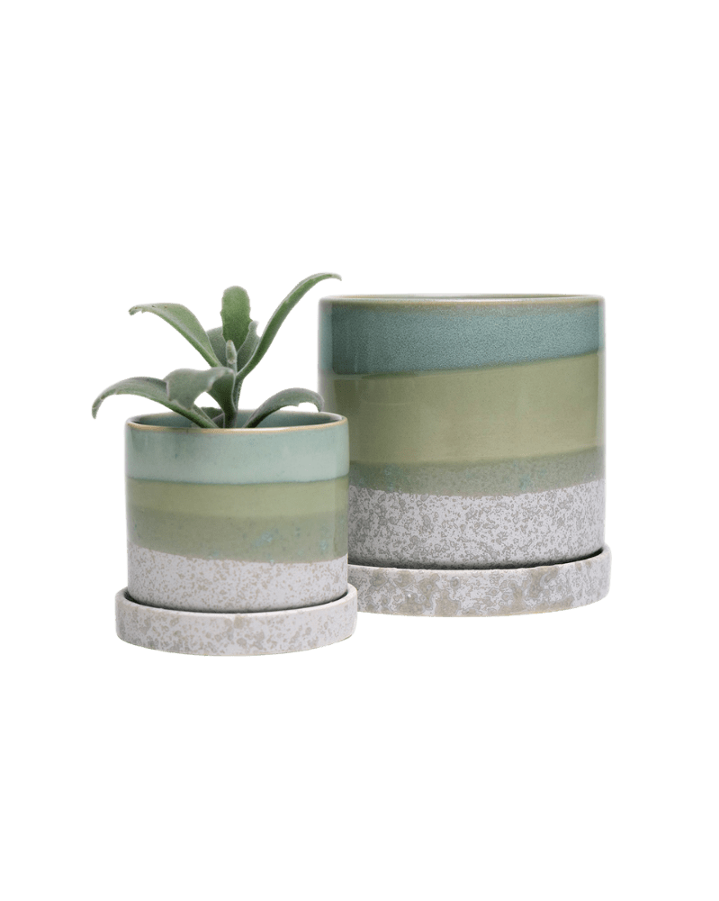 Minute Ceramic Pot And Saucer Set With Drainage - Chive UK