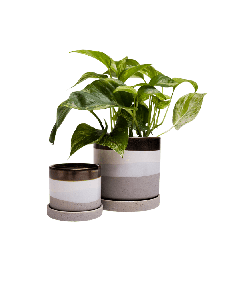 Minute Ceramic Pot And Saucer Set With Drainage - Chive UK