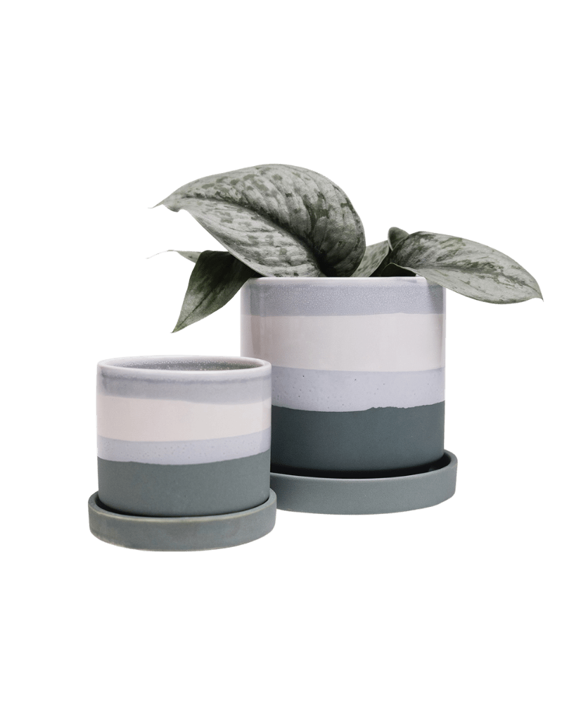 Minute Ceramic Pot And Saucer Set With Drainage - Chive UK