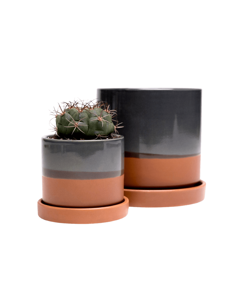 Minute Ceramic Pot And Saucer Set With Drainage - Chive UK