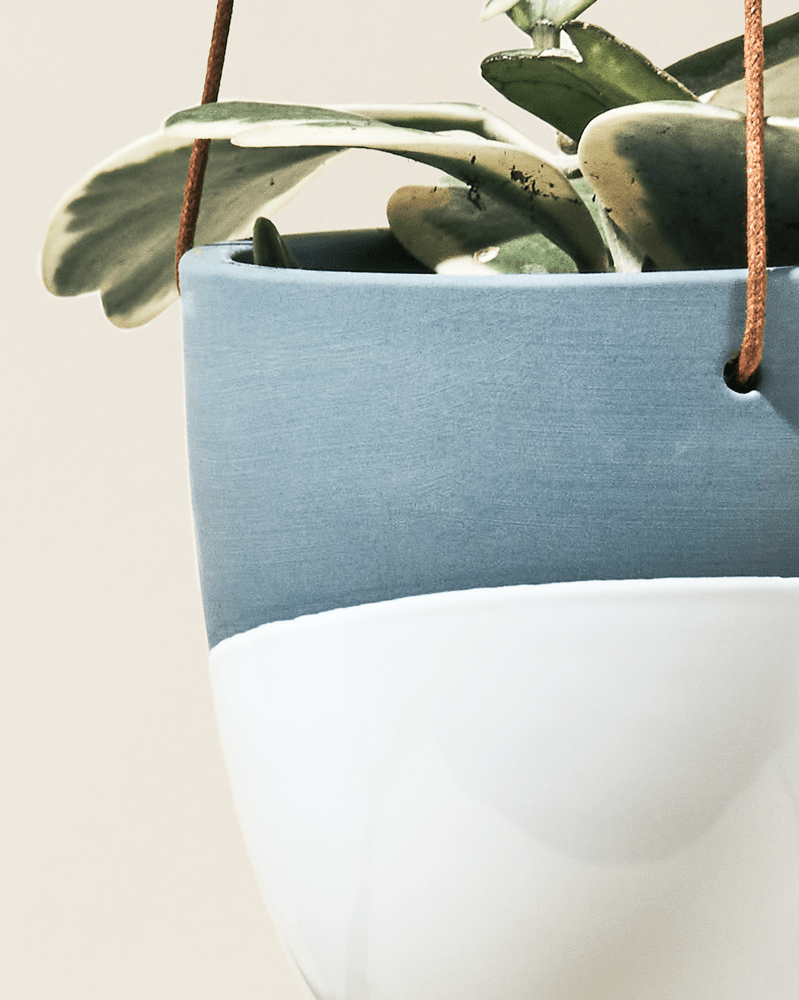 Bobbin Porcelain Modern Hanging Indoor Plant Pot - Chive UK