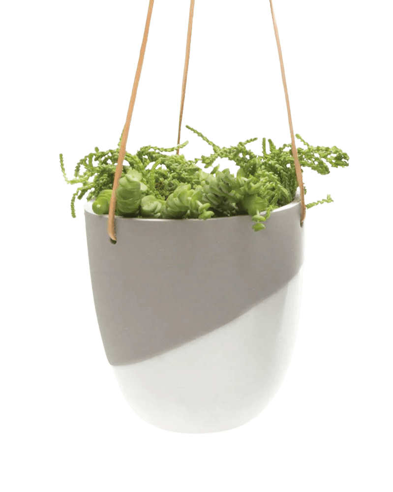 Bobbin Porcelain Modern Hanging Indoor Plant Pot - Chive UK