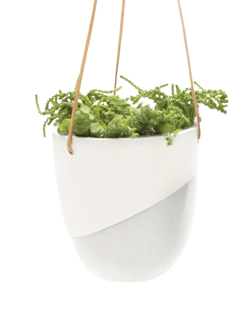 Bobbin Porcelain Modern Hanging Indoor Plant Pot - Chive UK