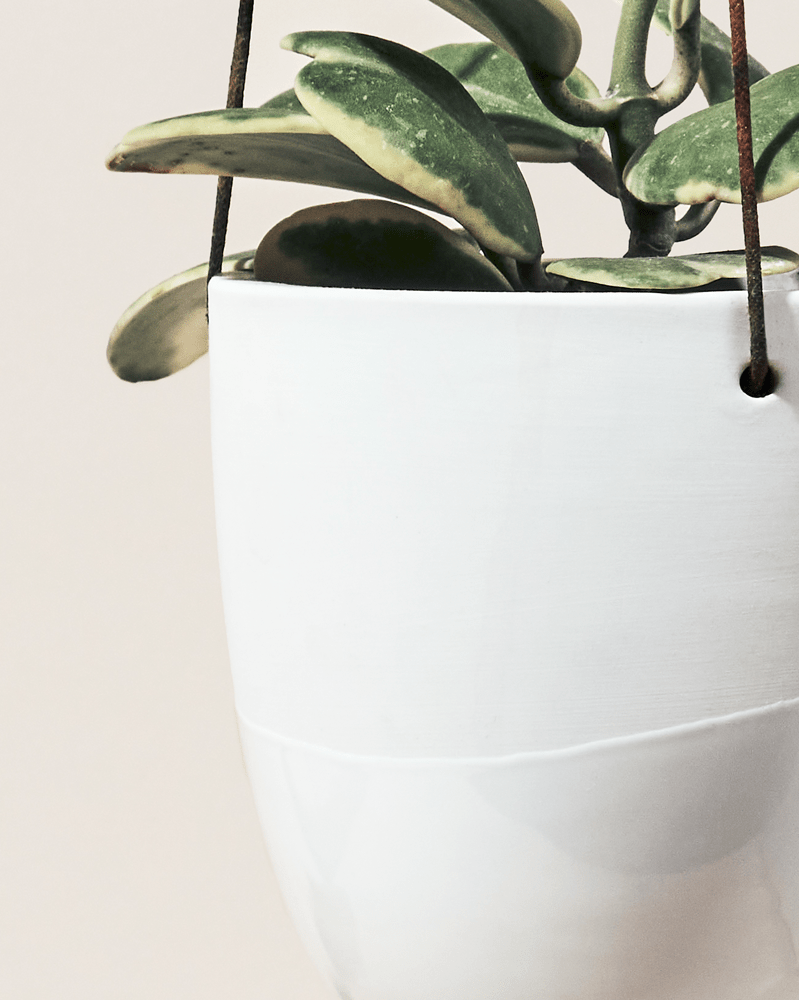 Bobbin Porcelain Modern Hanging Indoor Plant Pot - Chive UK