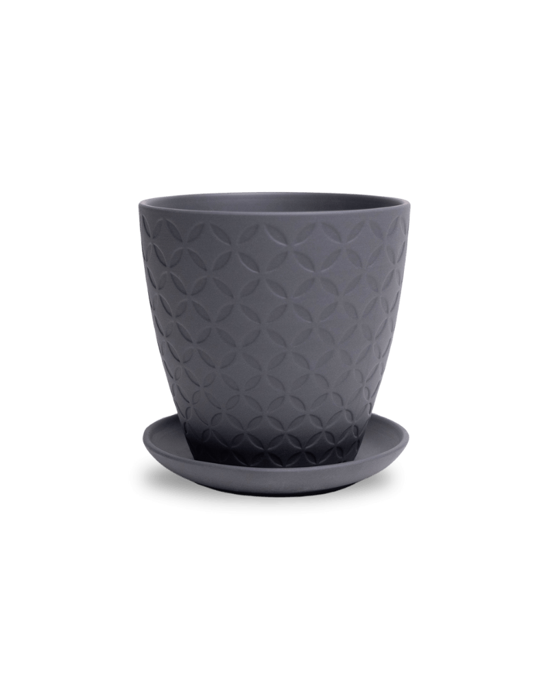 Virago 5" Porcelain Pot With Drainage Hole And Saucer - Chive UK