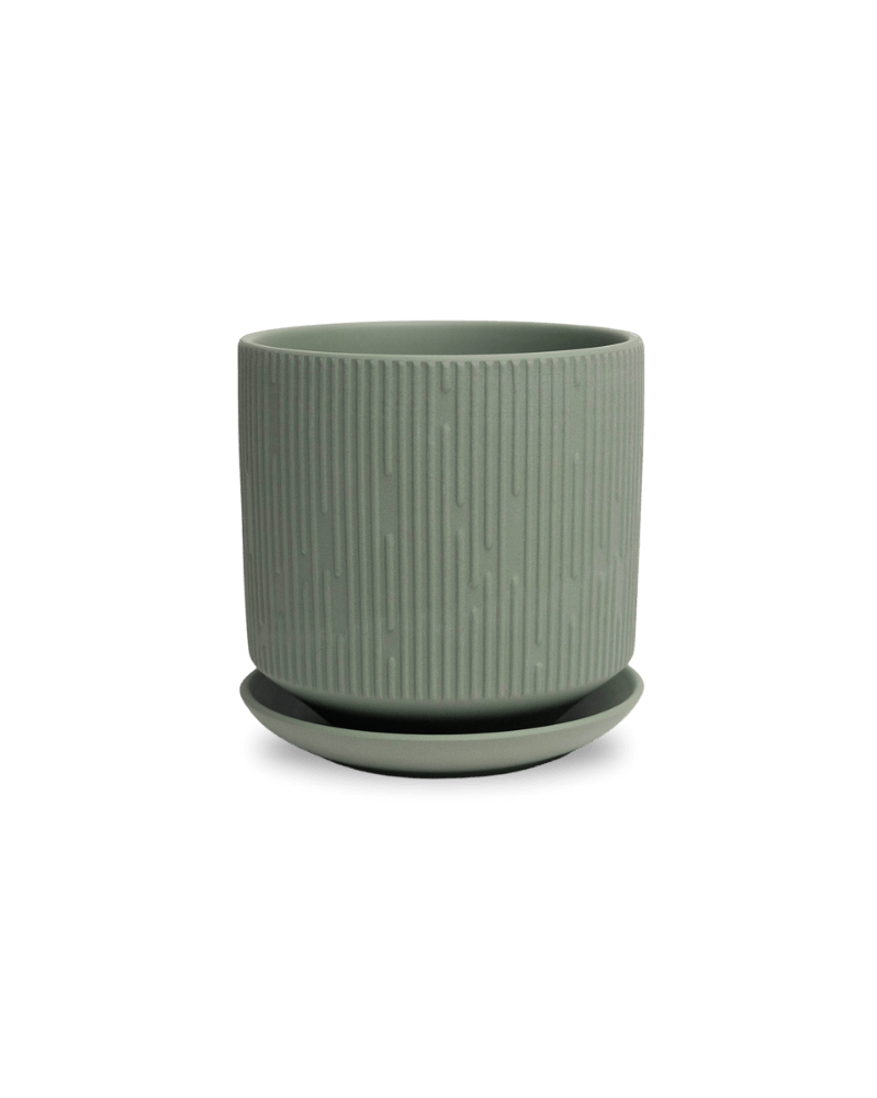 Virago 5" Porcelain Pot With Drainage Hole And Saucer - Chive UK