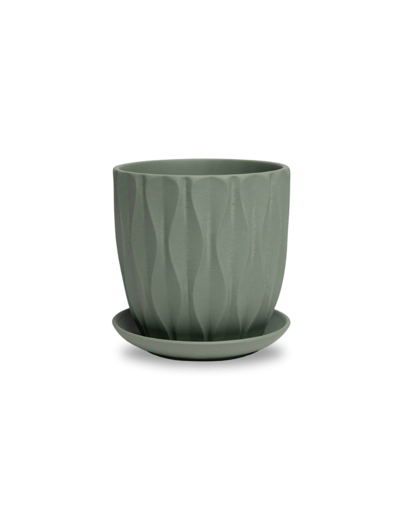 Virago 5" Porcelain Pot With Drainage Hole And Saucer - Chive UK
