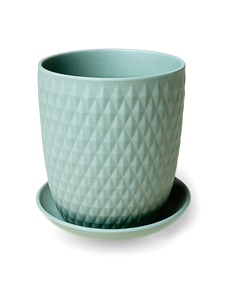 Virago 5" Porcelain Pot With Drainage Hole And Saucer - Chive UK