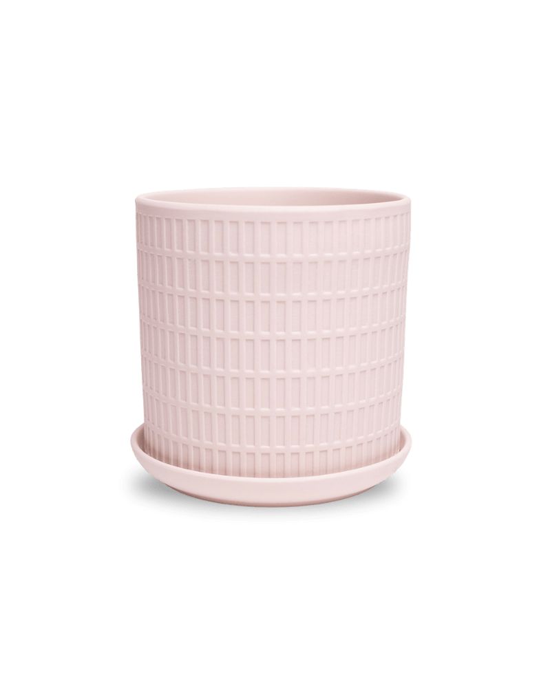 Virago 5" Porcelain Pot With Drainage Hole And Saucer - Chive UK