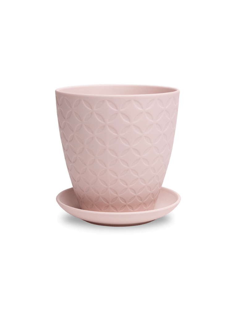 Virago 5" Porcelain Pot With Drainage Hole And Saucer - Chive UK
