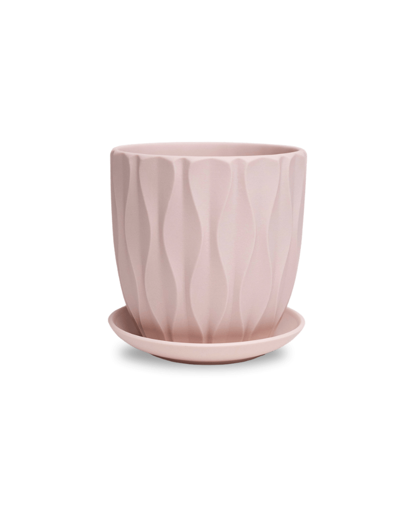 Virago 5" Porcelain Pot With Drainage Hole And Saucer - Chive UK