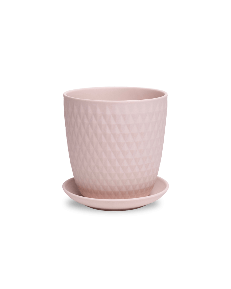 Virago 5" Porcelain Pot With Drainage Hole And Saucer - Chive UK