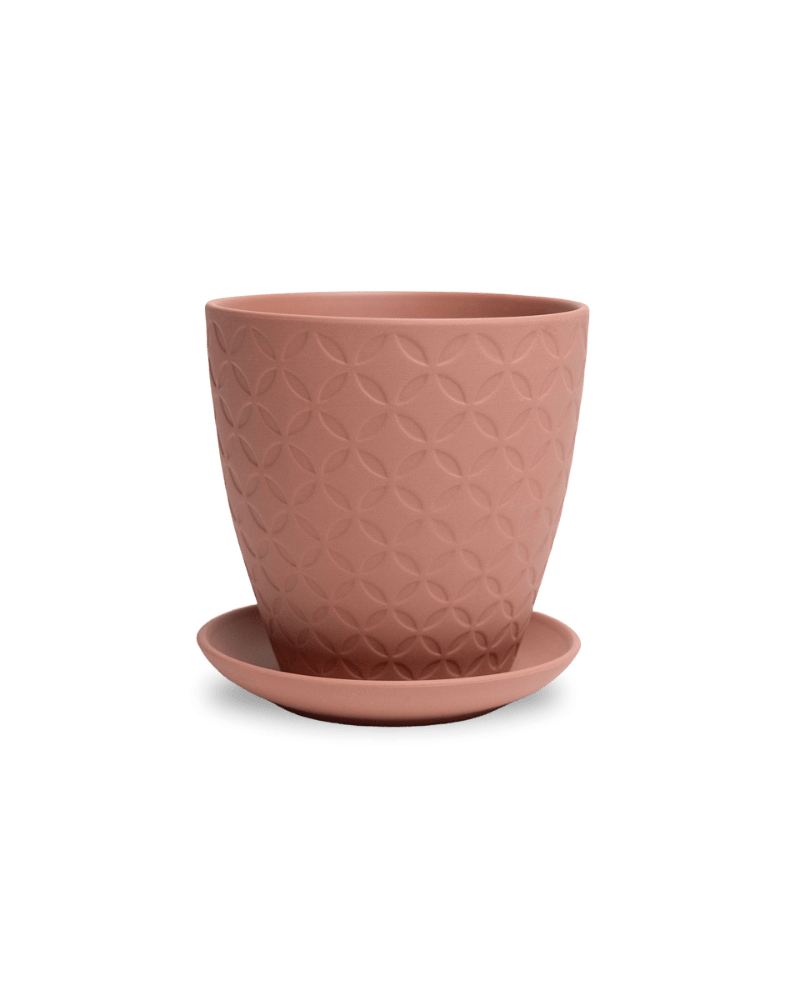 Virago 5" Porcelain Pot With Drainage Hole And Saucer - Chive UK