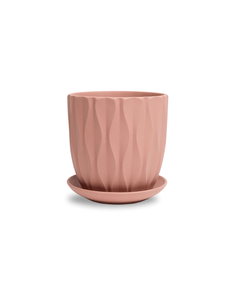 Virago 5" Porcelain Pot With Drainage Hole And Saucer - Chive UK