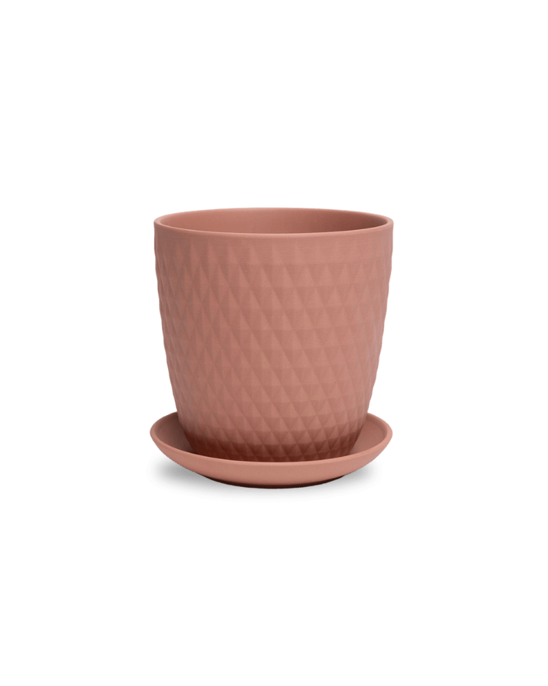 Virago 5" Porcelain Pot With Drainage Hole And Saucer - Chive UK