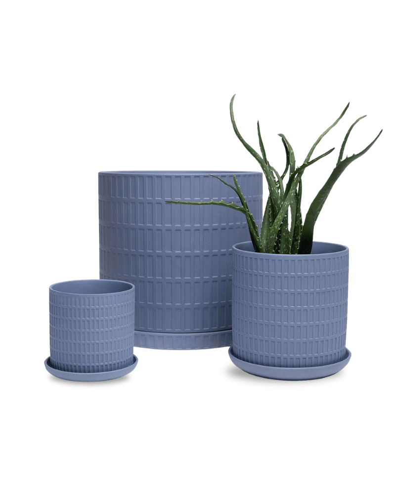 Virago 5" Porcelain Pot With Drainage Hole And Saucer - Chive UK