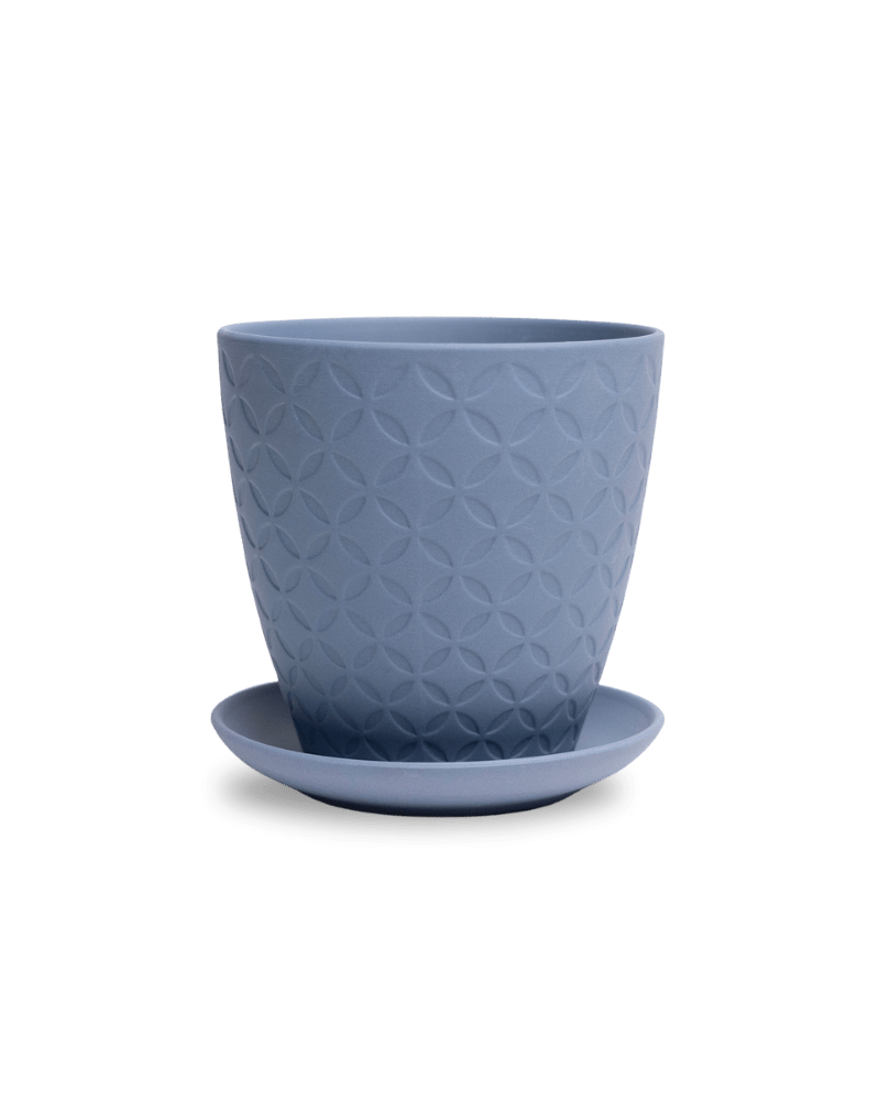 Virago 5" Porcelain Pot With Drainage Hole And Saucer - Chive UK