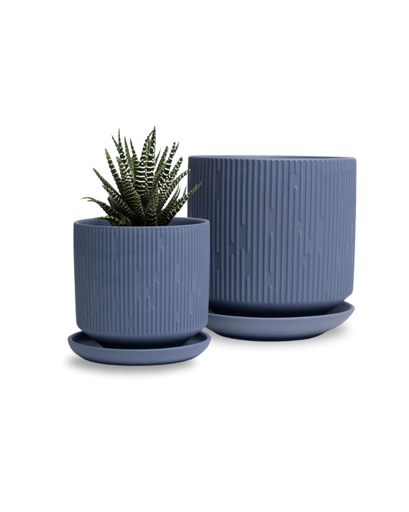 Virago 5" Porcelain Pot With Drainage Hole And Saucer - Chive UK