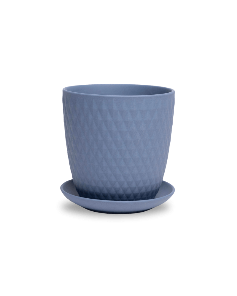 Virago 5" Porcelain Pot With Drainage Hole And Saucer - Chive UK