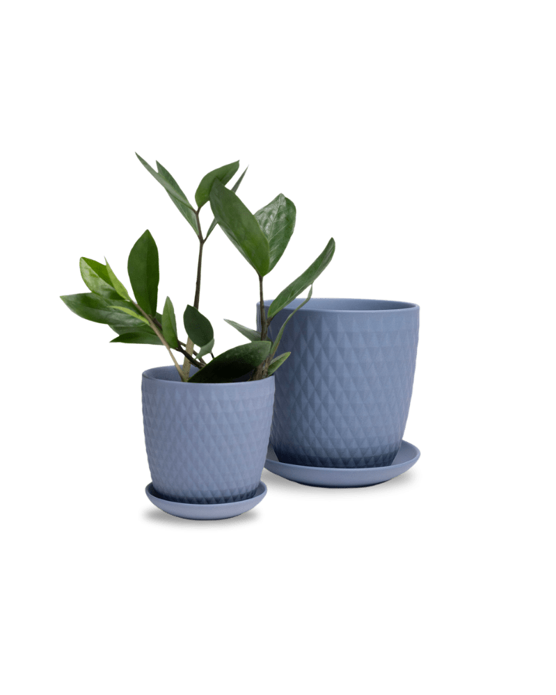 Virago 5" Porcelain Pot With Drainage Hole And Saucer - Chive UK