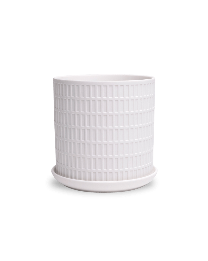 Virago 5" Porcelain Pot With Drainage Hole And Saucer - Chive UK