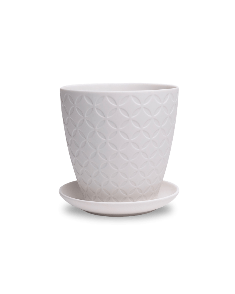 Virago 5" Porcelain Pot With Drainage Hole And Saucer - Chive UK