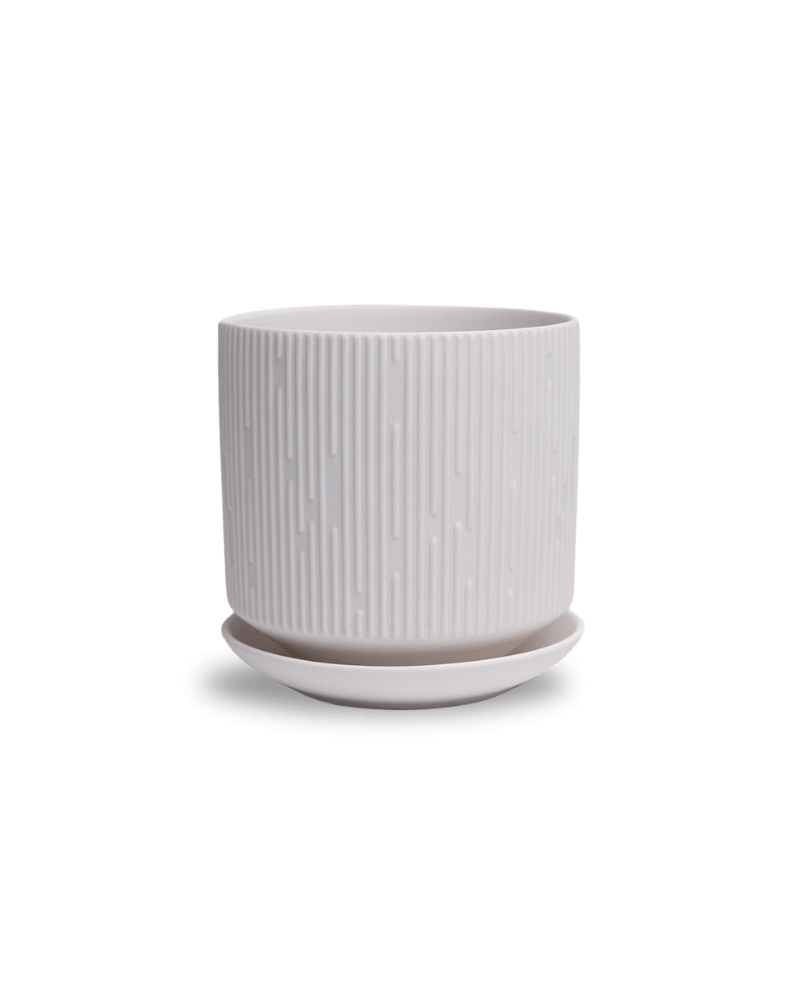 Virago 5" Porcelain Pot With Drainage Hole And Saucer - Chive UK